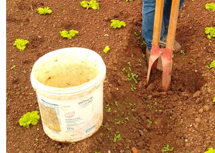 Manual De Coleta De Solo Para An Lise Qu Mica E F Sica Parte